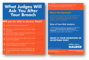 1-HALOCK-Questions-Judge-Data-Breach-Infographic-300×201