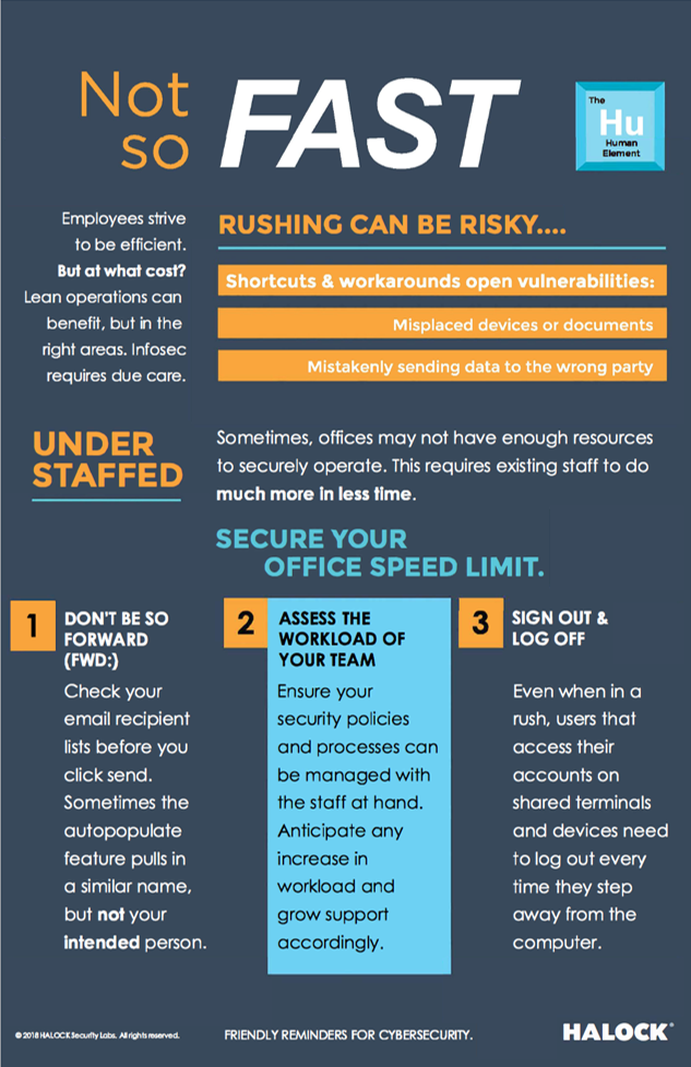 HALOCK-Not-So-Fast-TN Cyber Security Risk Fast Pace Remote