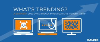 Blue Cyber Risk DBIR Summary