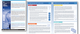 cyber security case study Penetration Testing