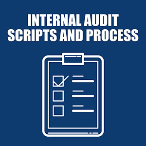 IT Internal Audit