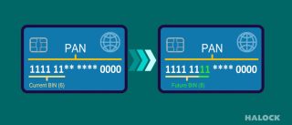 BIN PCI DSS Risk