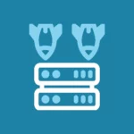 Bot Attack DDoS attack