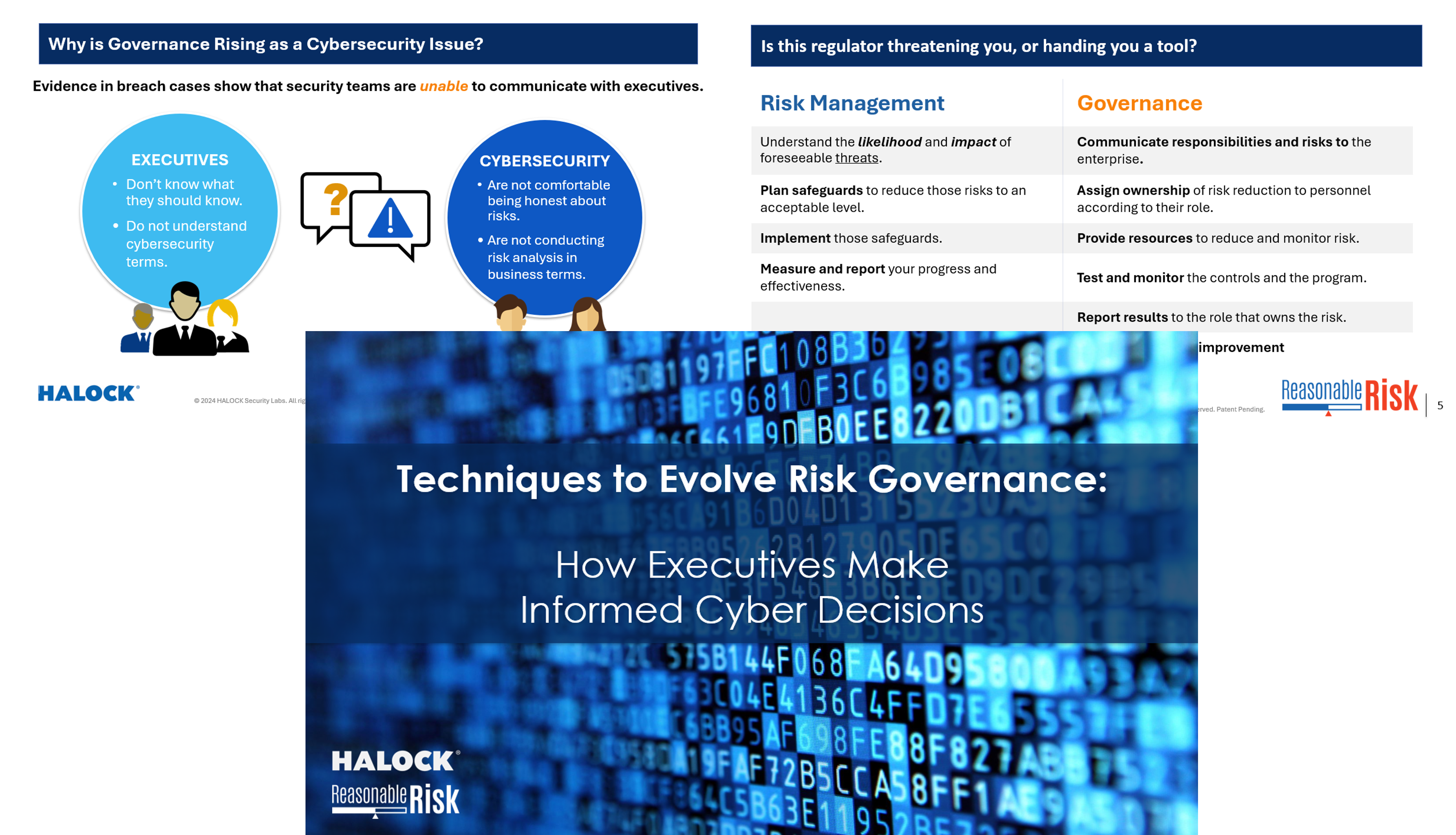 HALOCK Reasonable Risk CAMP IT IT Risk Governance Informed Cyber Decisions