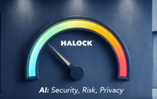 AI Risk Assessment
