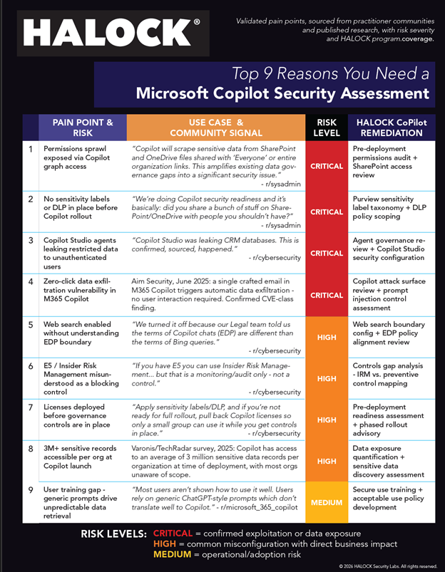 Top 9 Reasons for CoPilot Security Assessment HALOCK Microsoft Copilot Security Assessment